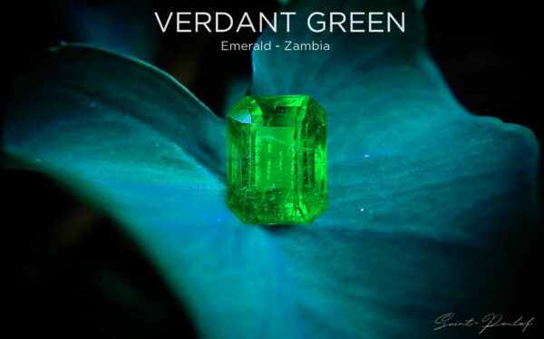 Emeraude_rpc_verdant_green_emerald_vivid_green_zambie_2.67ct_8.93x7.06x5.64mm_taille_emeraude_verte_colombie_#spfgems