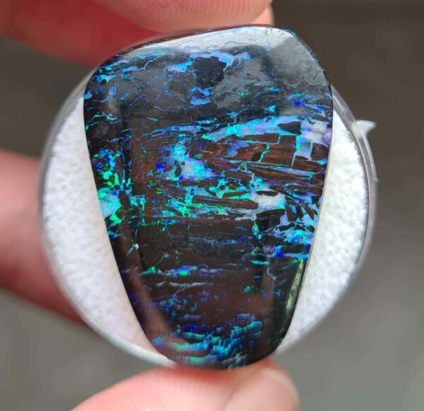 Opale_boulder_australie_naturelle_16.80ct_27.9x20.7x3.4mm_OPBOU01_#spfgems